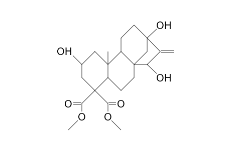 2,13,15-Trihydroxy-kaur-16-ene-18,19-dioic acid, dimethyl ester