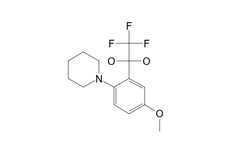 2,2,2-TRIFLUORO-1-[5-METHOXY-2-(1-PIPERIDINYL)-PHENYL]-1,1-ETHANDIOL