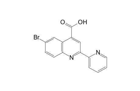 6-BROMO-2-(2-PYRIDYL)CINCHONINIC ACID