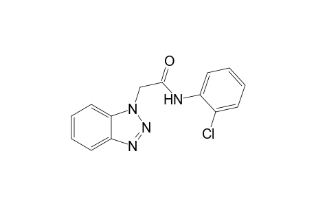 2-(Benzotriazol-1-yl)-N-(2-chlorophenyl)acetamide