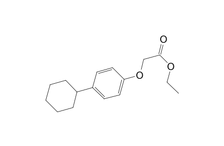 Acetic acid, 2-(4-cyclohexylphenoxy)-, ethyl ester
