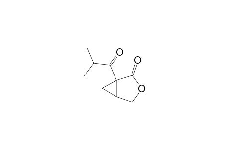 1-(2-Methylpropanoyl)-3-oxabicyclo[3.1.0]hexan-2-one