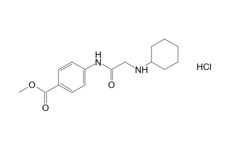 p-[2-(cyclohexylamino)acetamido]benzoic acid, methyl ester, hydrochloride