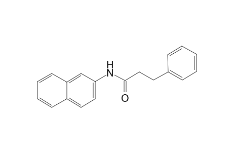 N-(2-Naphthyl)-3-phenylpropanamide