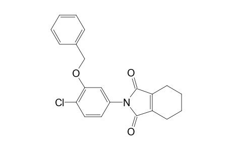 N-(4-Chloro-3-benzyloxy-phenyl)-4,5,6,7-tetrahydro-phthalimide