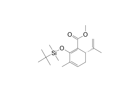 (6R)-2-(TERT.-BUTYLDIMETHYLSILANYLOXY)-6-ISOPROPENYL-3-METHYL-CYCLOHEXA-1,3-DIENE-CARBOXILIC-ACID-METHYLESTER
