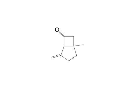1-Methyl-4-methylenebicyclo[3.2.0]heptan-6-one