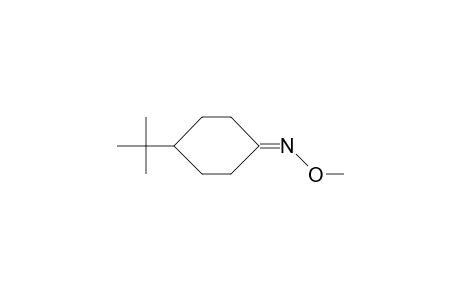 4-tert-Butyl-cyclohexanone O-methyl-oxime