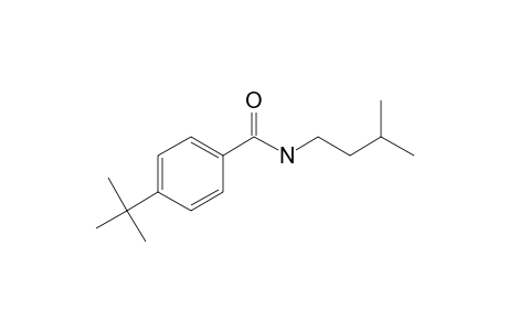 Benzamide, 4-(tert-butyl)-N-3-methylbutyl-