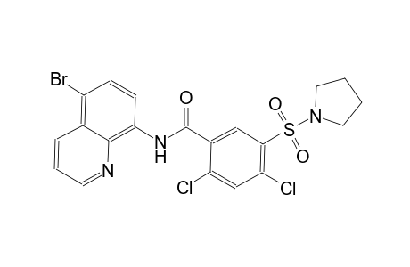 N-(5-bromo-8-quinolinyl)-2,4-dichloro-5-(1-pyrrolidinylsulfonyl)benzamide