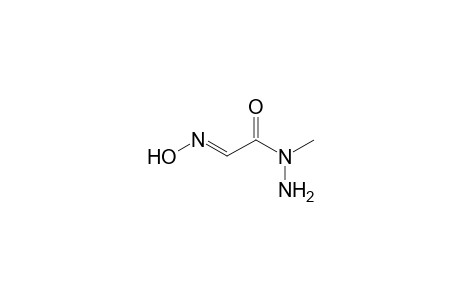 Acetamide, amino (hydroxyimino)-N-methyl-
