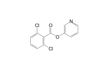 2,6-dichlorobenzoic acid, 3-pyridyl ester