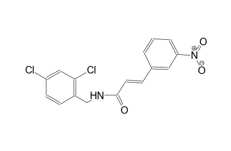 (2E)-N-(2,4-dichlorobenzyl)-3-(3-nitrophenyl)-2-propenamide