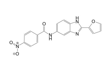 N-[2-(2-furyl)-1H-benzimidazol-5-yl]-4-nitrobenzamide