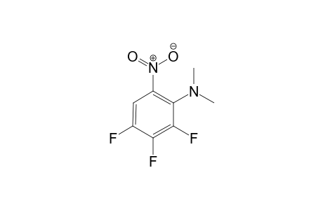 2,3,4-trifluoro-N,N-dimethyl-6-nitroaniline