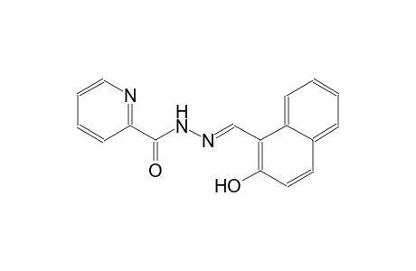 N'-[(E)-(2-hydroxy-1-naphthyl)methylidene]-2-pyridinecarbohydrazide