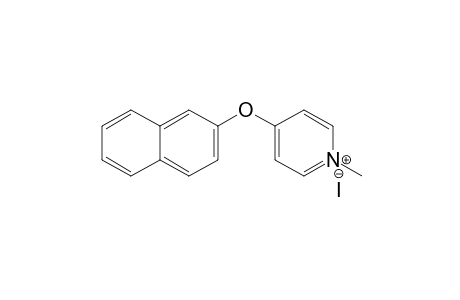 1-Methyl-4-(.beta.-naphthoxy)pyridinium iodide