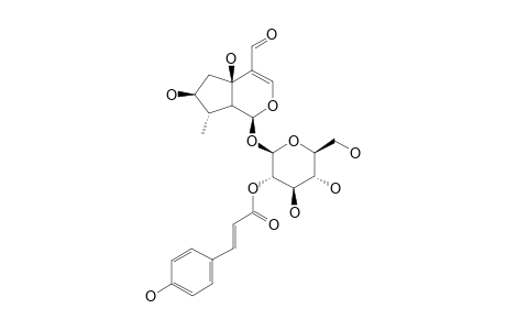 2'-O-COUMAROYL-7-BETA-HYDROXY-PLANTARENALOSIDE