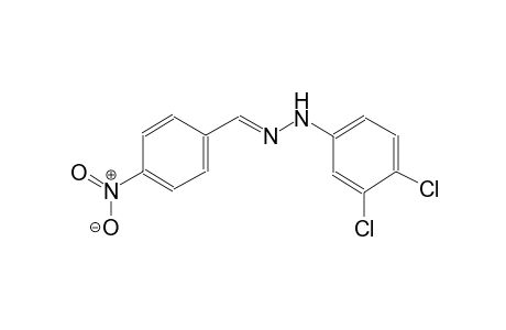 Benzaldehyde, 4-nitro-, 3,4-dichlorophenylhydrazone
