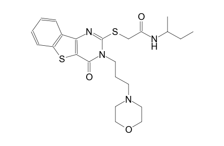 N-(sec-butyl)-2-({3-[3-(4-morpholinyl)propyl]-4-oxo-3,4-dihydro[1]benzothieno[3,2-d]pyrimidin-2-yl}sulfanyl)acetamide
