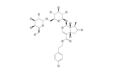 6'-O-ALPHA-D-GALACTOPYRANOSYL-SYRINGOPICROSIDE