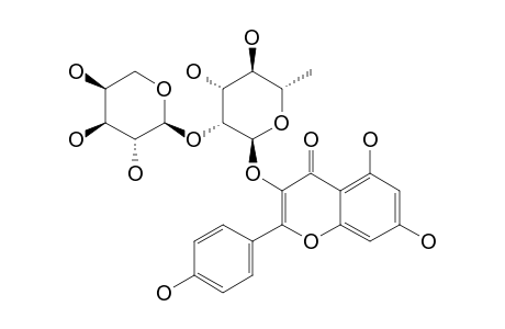 KAEMPFEROL-3-O-ALPHA-L-ARABINOPYRANOSYL-(1->2)-ALPHA-L-RHAMNOPYRANOSIDE