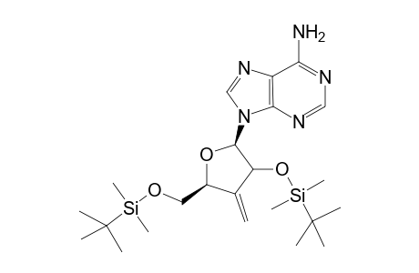 9-(2,5-Bis-O-(tert-butyldimethylsilyl)-3-deoxy-3-methylene-.beta.D-erythro-pentofuranosyl)adenine
