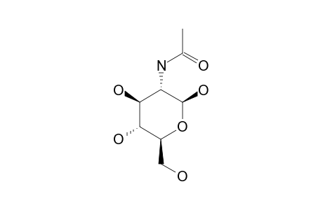 N-ACETYL-BETA-D-GLUCOSAMINE
