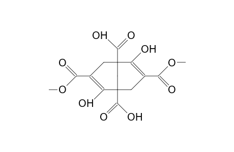 1,5-Dicarboxy-3,7-dicarbomethoxy-bicyclo(3.3.1)nona-2,6-dien-2,6-diol
