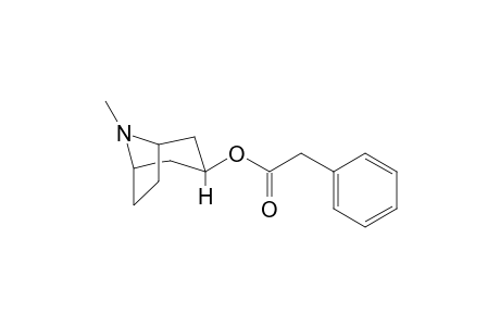 Phenylacetoxytropane
