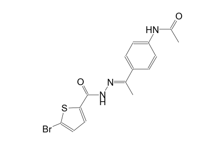 N-(4-{(1E)-N-[(5-bromo-2-thienyl)carbonyl]ethanehydrazonoyl}phenyl)acetamide