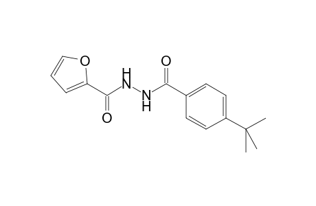 4-tert-Butyl-benzoic acid N'-(furan-2-carbonyl)-hydrazide