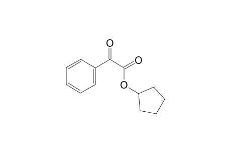 Cyclopentyl 2-oxo-2-phenylacetate