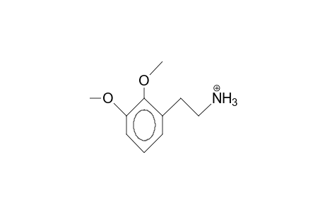 2,3-Dimethoxy-phenethylamine cation