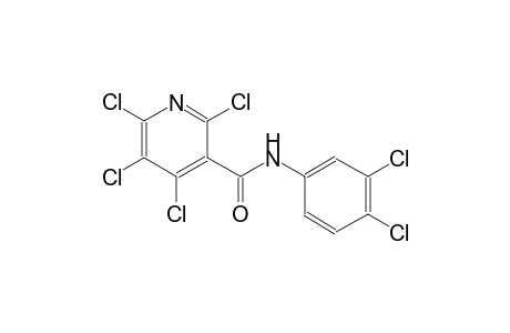 2,4,5,6-Tetrachloro-N-(3,4-dichloro-phenyl)-nicotinamide