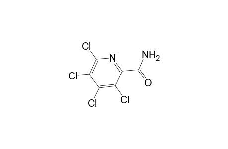 3,4,5,6-Tetrachloropicolinamide