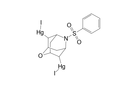 N-(Benzenesulfonyl)-4,8-bis(iodomercury)-2-oxa-6-azaadamantane-