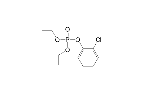 Phosphoric acid, 2-chlorophenyl diethyl ester