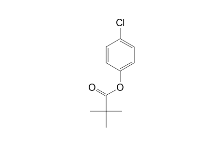 Propanoic acid, 2,2-dimethyl-, 4-chlorophenyl ester