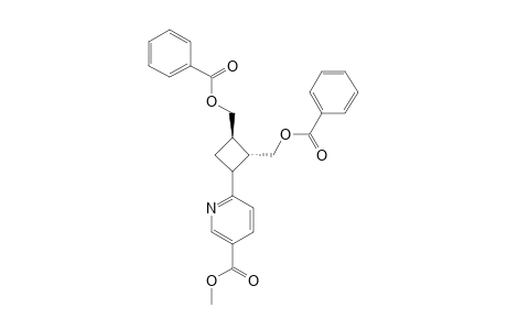 METHYL-6-[2,3-BIS-(BENZOYLOXYMETHYL)-CYCLOBUTYL]-NICOTINATE