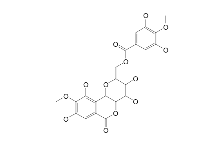 11-O-(4'-O-METHYLGALLOYL)-BERGENIN