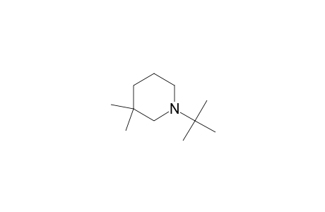 1-tert-Butyl-3,3-dimethyl-piperidine