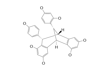 GNETUHAININ-C