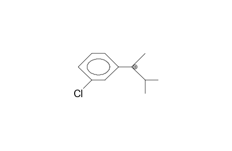 2-(3-Chloro-phenyl)-3-methyl-2-butylium cation