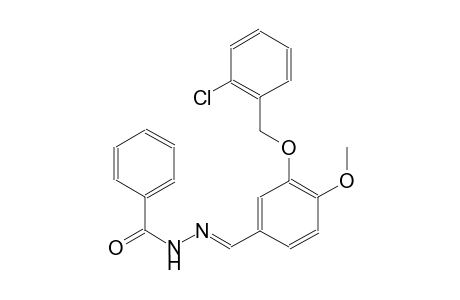 N'-((E)-{3-[(2-chlorobenzyl)oxy]-4-methoxyphenyl}methylidene)benzohydrazide