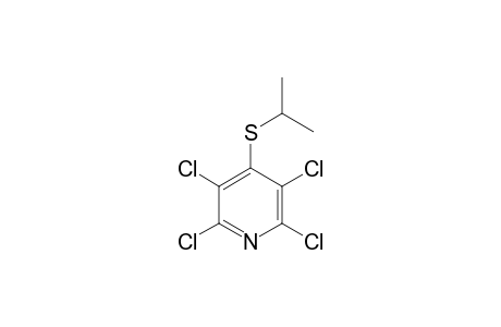 4-ISOPROPYLTHIO-2,3,5,6-TETRACHLOROPYRIDINE