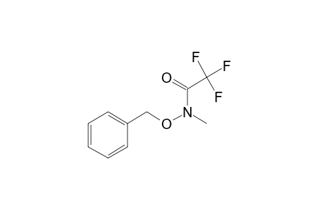 (Benzyloxy)(methyl)amine, N-trifluoroacetyl-