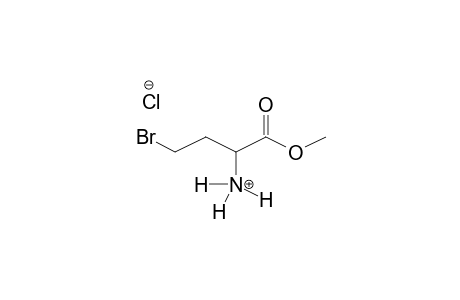 METHYL 4-BROMO-2-AMINOBUTANOATE, HYDROCHLORIDE