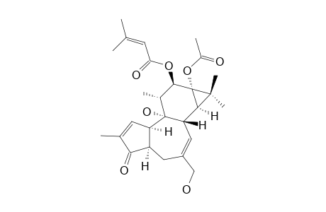 12-O-[3-METHYL-2-BUTENOYL]-4-DEOXYPHORBOL_13-ACETATE