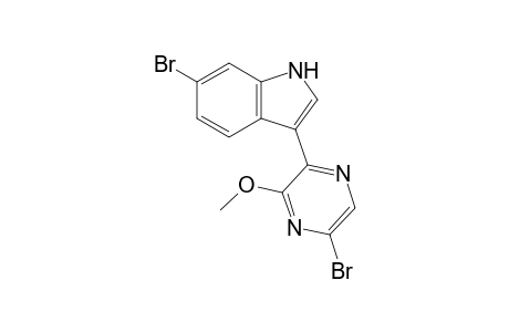 6-bromanyl-3-(5-bromanyl-3-methoxy-pyrazin-2-yl)-1H-indole